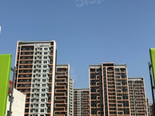 西青城投格调松蕉花园开发商营业执照相册