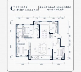 3室2厅2卫户型图