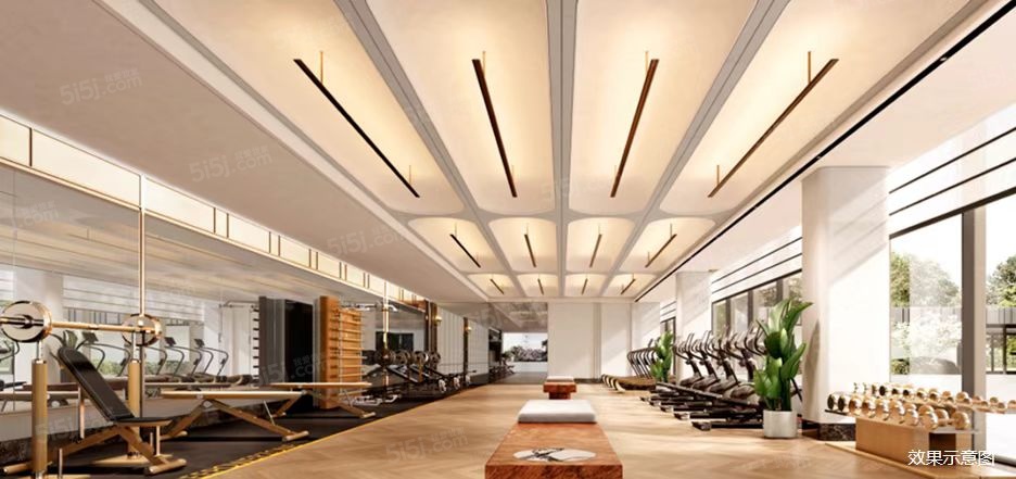 格调昆庭花园效果图