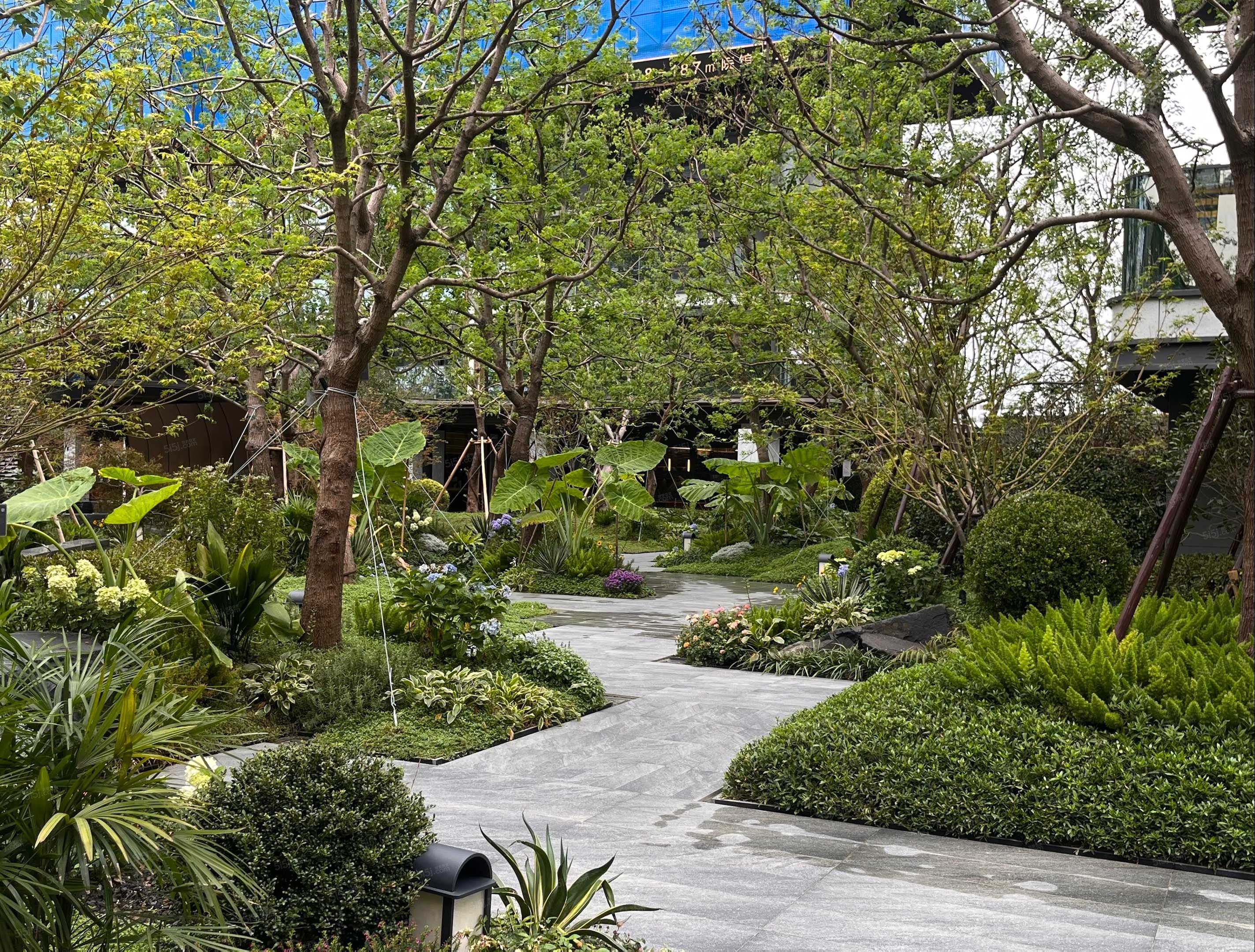 龙湖峯云境实景图