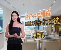 大华星耀沙盘图相册