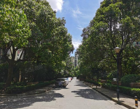 经纬学府涵青项目现场