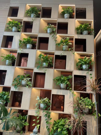 格调安澜花园实景图