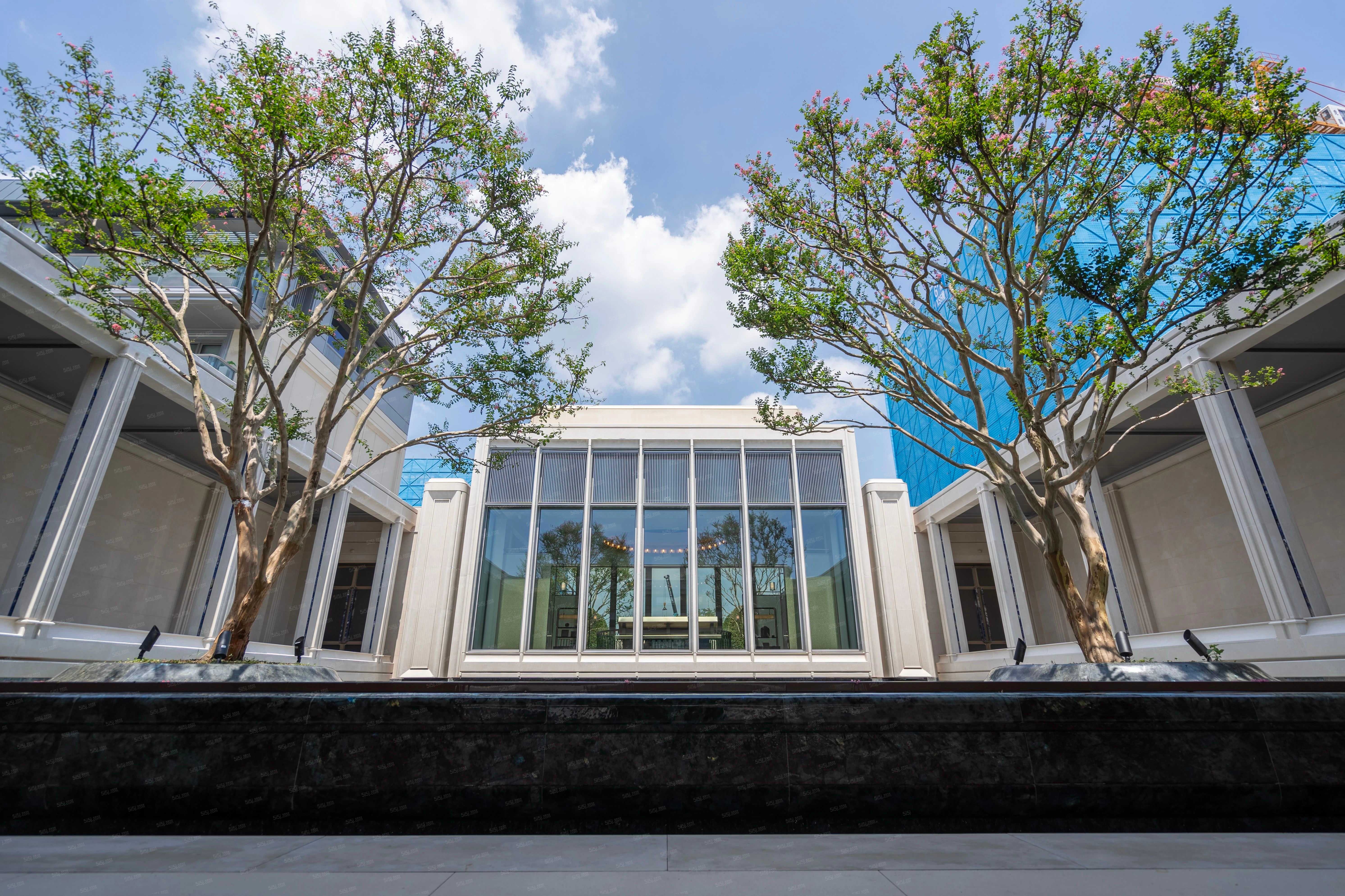 天阳.湖山丽舍项目现场