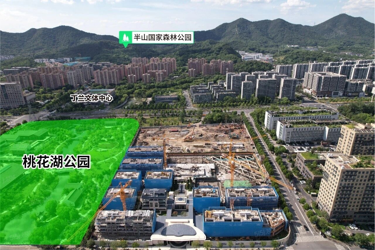 天阳.湖山丽舍项目现场