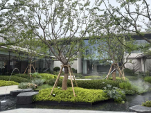 联发雨花新澍沙盘图相册