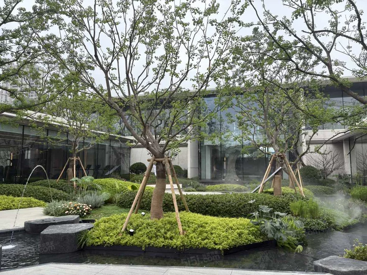 联发雨花新澍实景图