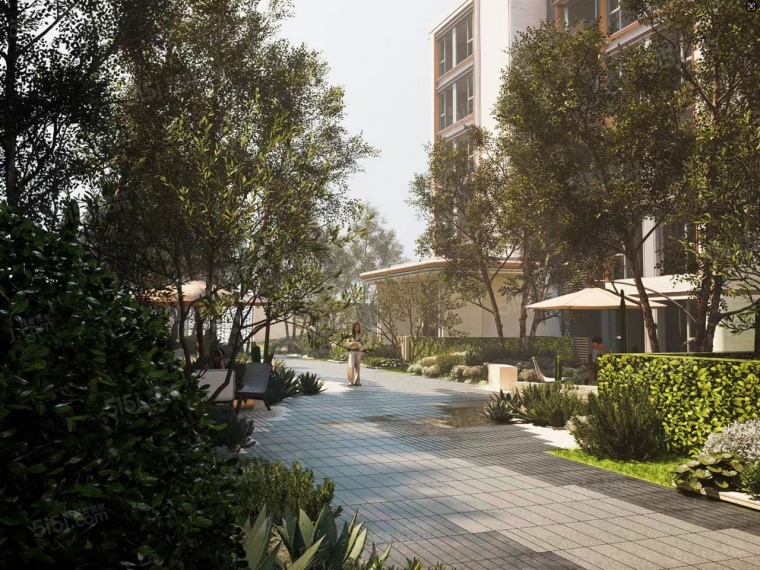 映象星潮实景图