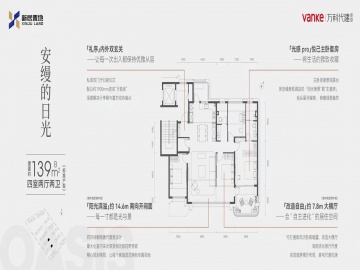 映象星潮4室2厅2卫