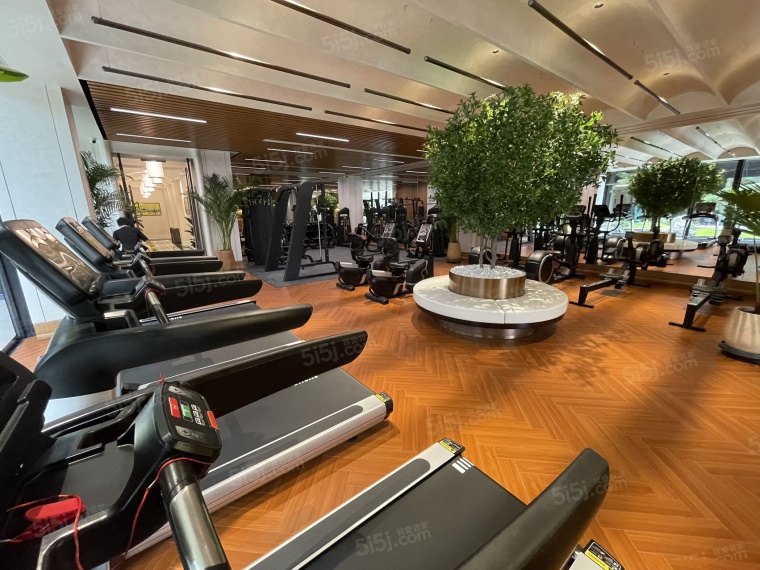 格调澄园效果图