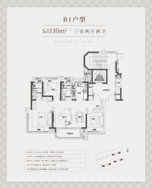 中环铂樾3室2厅2卫