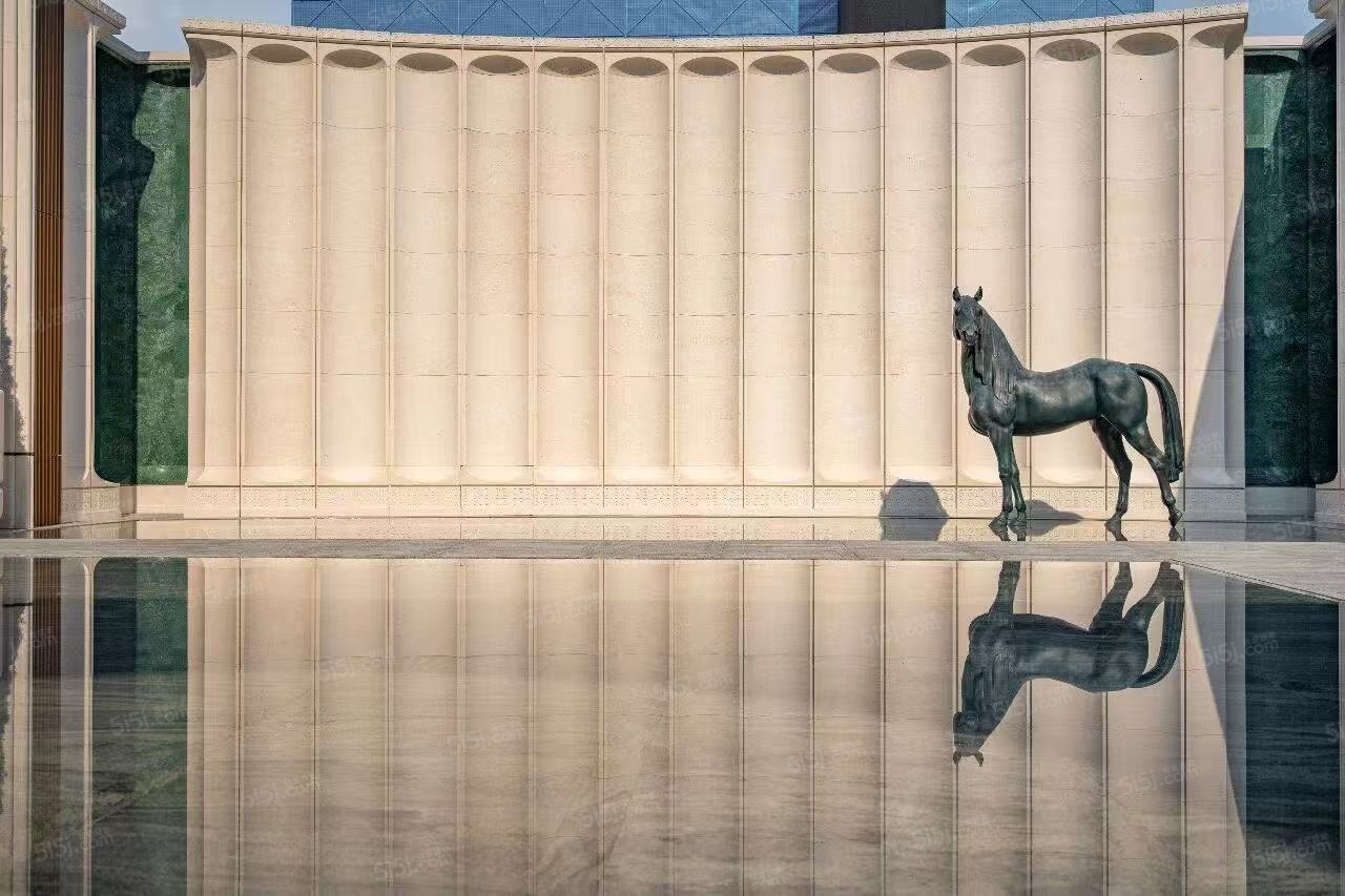 大家.咏印明庐项目现场