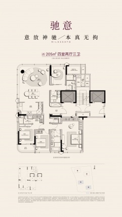 4室2厅3卫户型详情