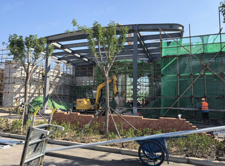 绿城玉百合实景图