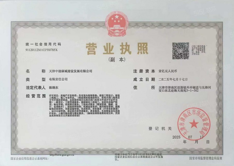 中建悦庐桐溪开发商营业执照