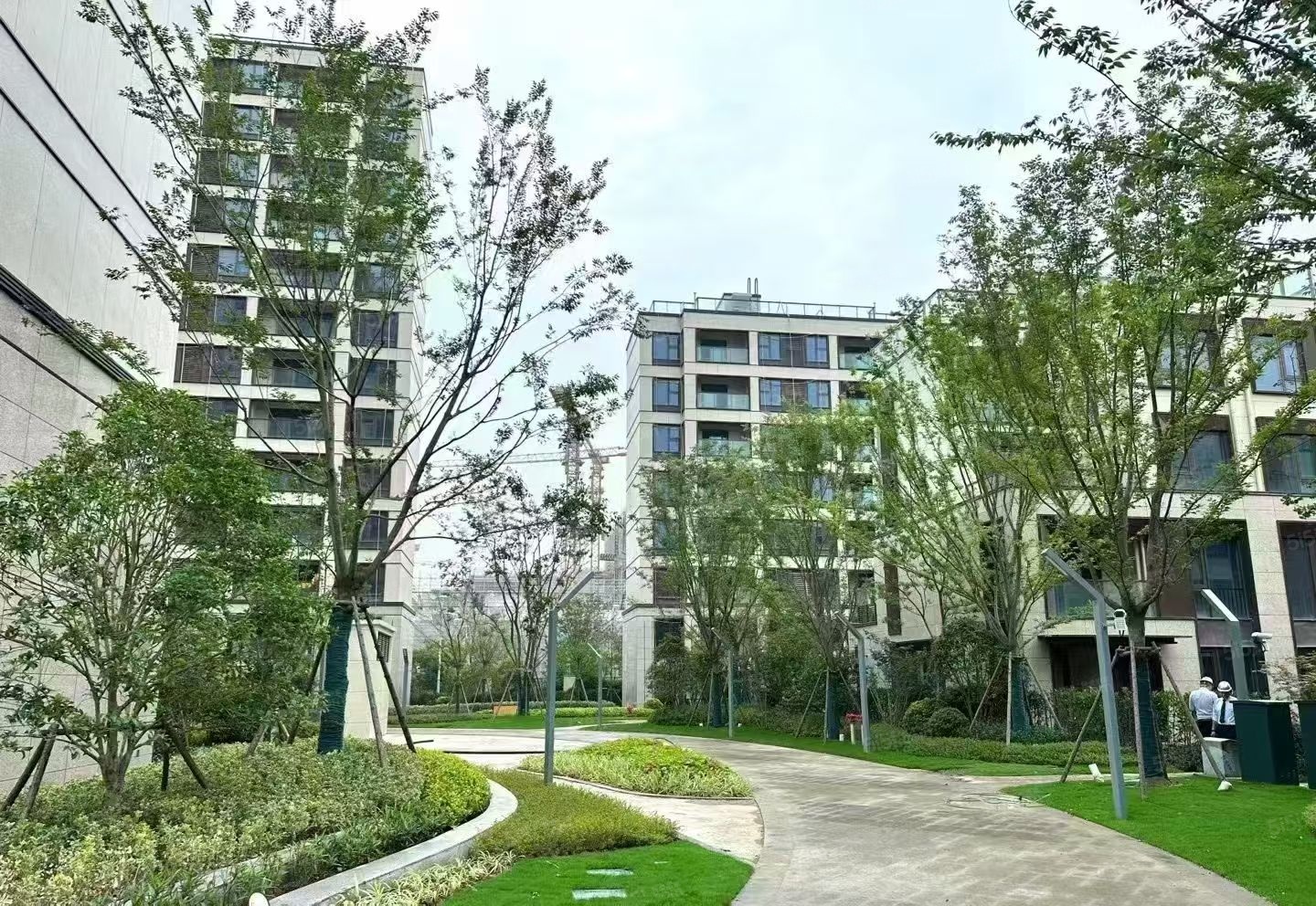 金港星海湾项目现场