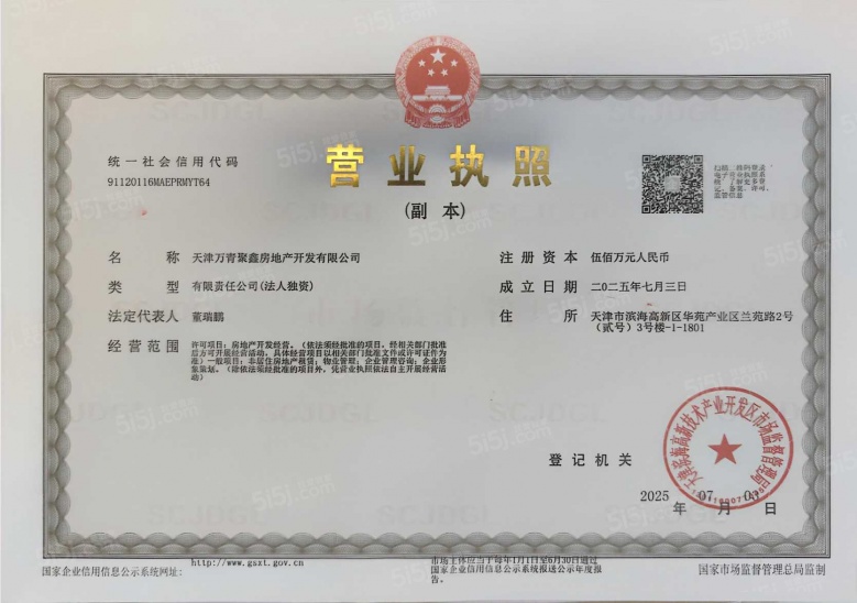 新城万青云启开发商营业执照