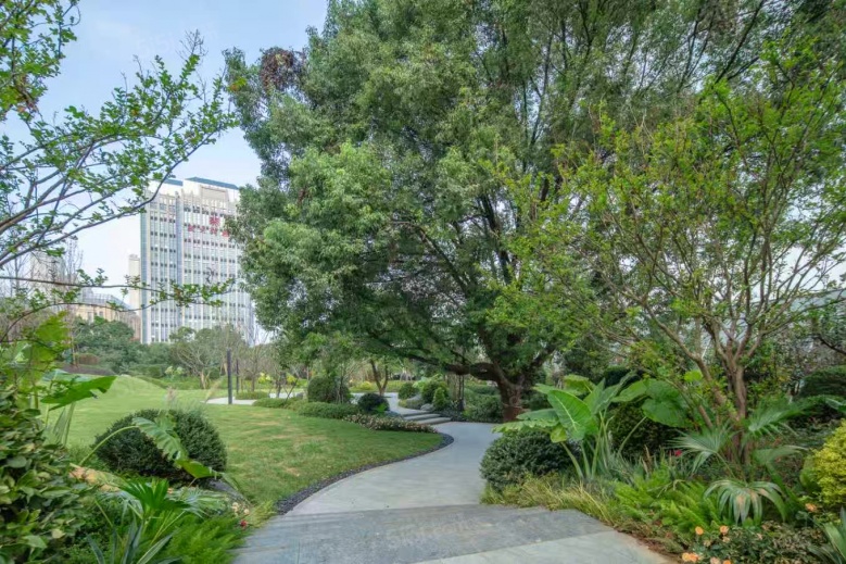 凤起豫章实景图