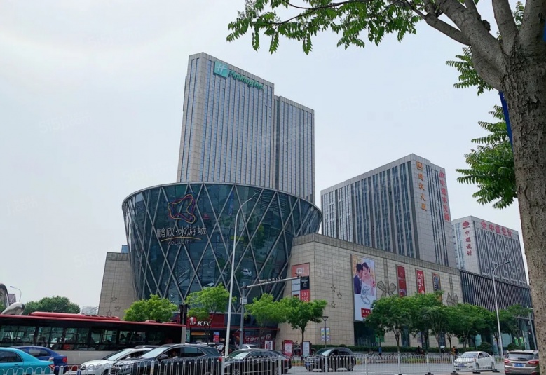 金地上湾玖峯配套图