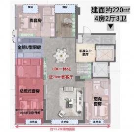 龙湖山河颂4室2厅3卫