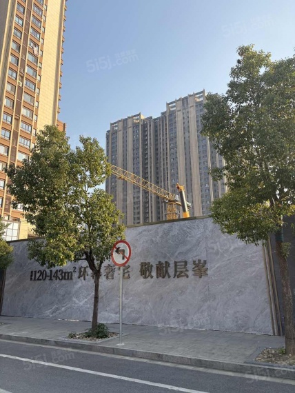 龙湖春江紫宸|观澜实景图