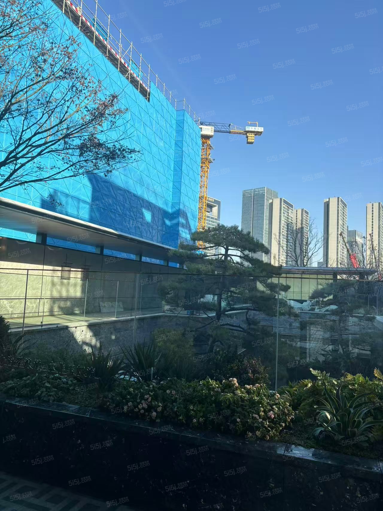 绿城宸庐实景图