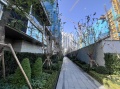绿城凤起潮鸣实景图相册大图