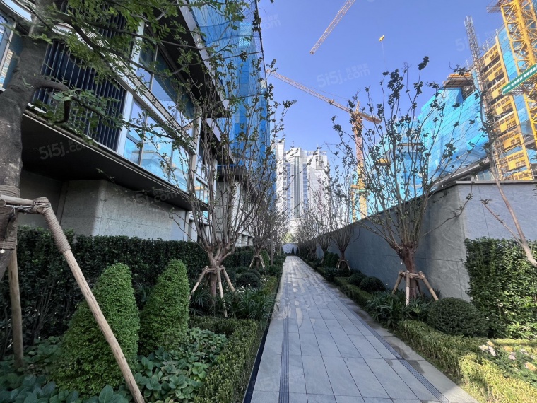 绿城凤起潮鸣实景图