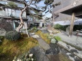 绿城凤起潮鸣实景图相册大图
