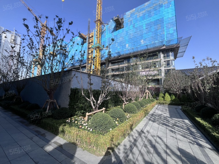 绿城凤起潮鸣实景图