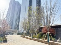 仁恒城市星瀚项目现场相册大图