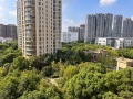 万宇名都花园实景图相册大图