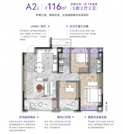 联发时光新澍3室2厅2卫