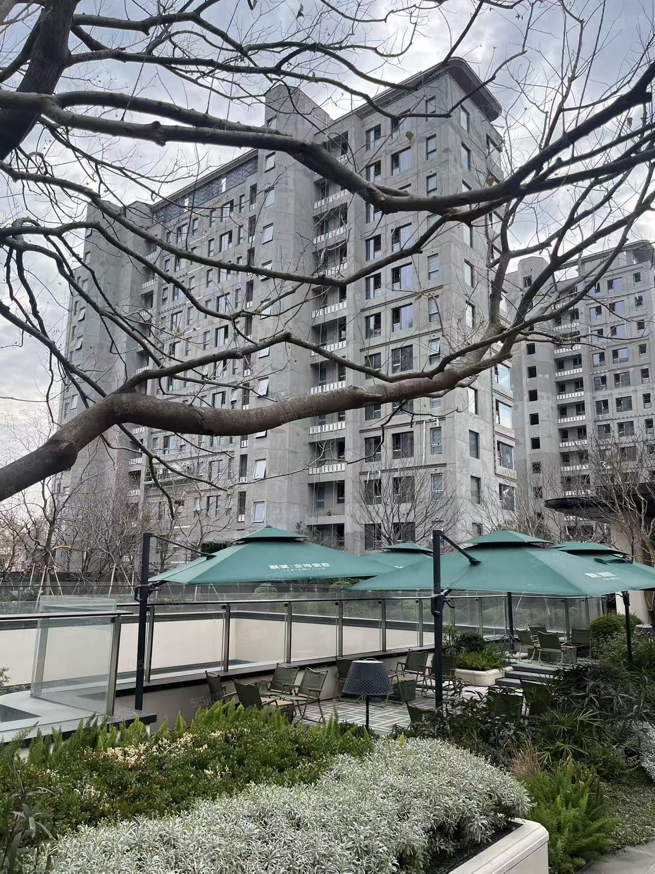 联发金海雲墅实景图