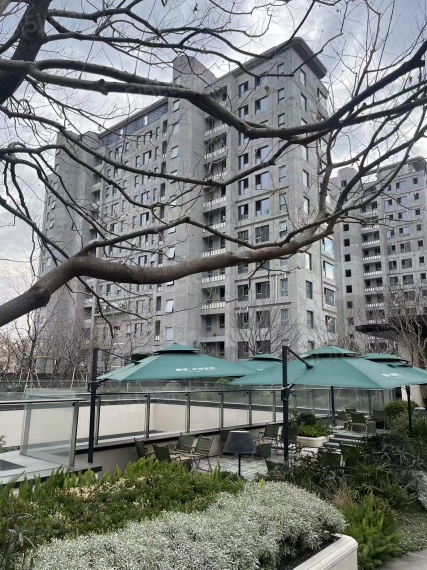 联发金海雲墅实景图