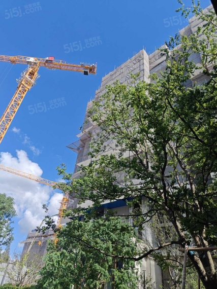 中国铁建·西派云间实景图