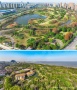 金茂棠前配套图相册大图