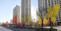 实信拾光里实景图相册大图