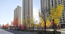 实信拾光里开发商营业执照相册