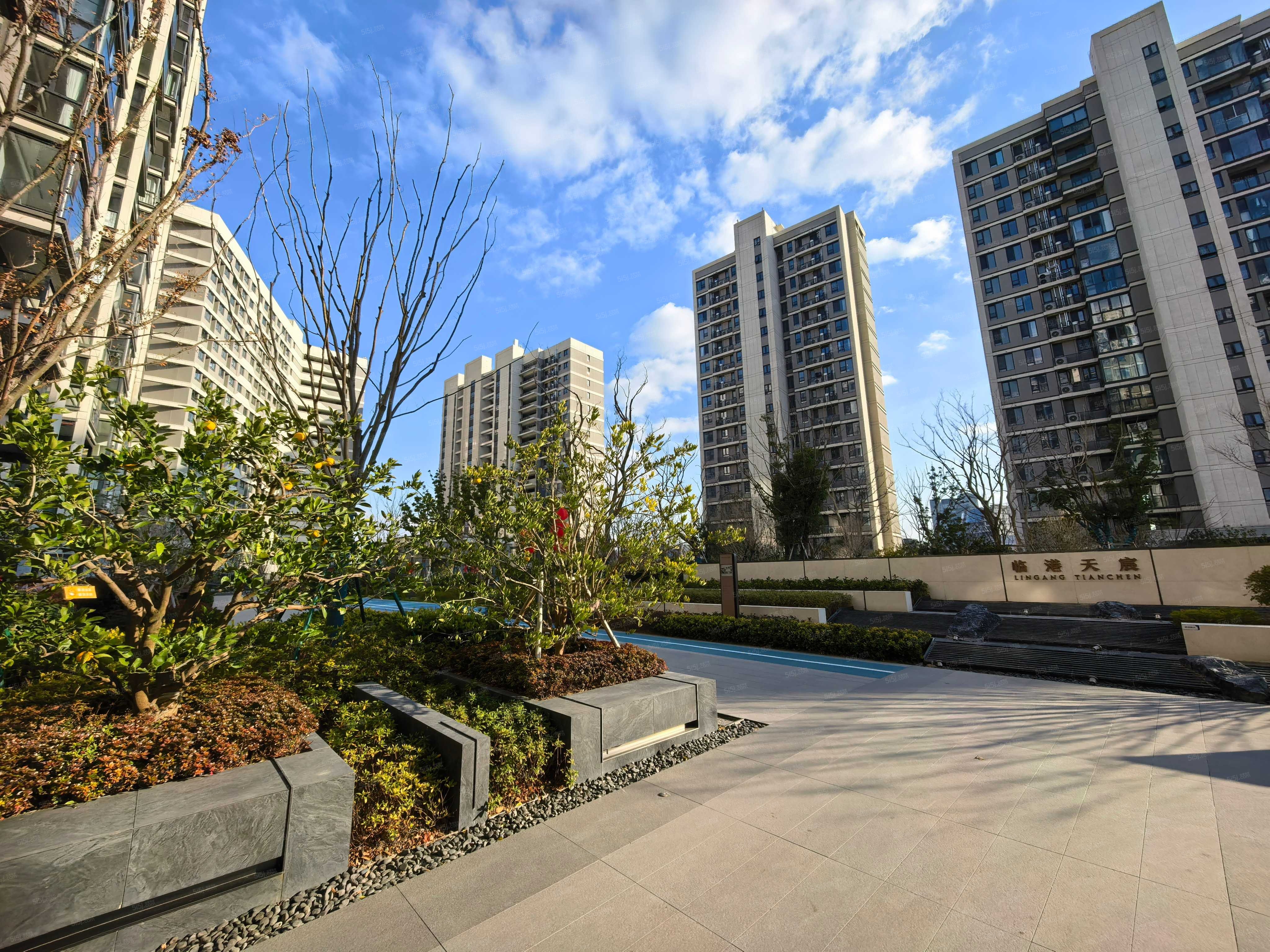 临港天宸配套图