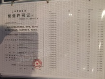 临港天宸沙盘图相册