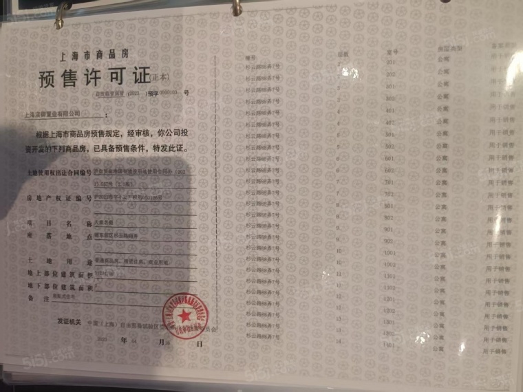 临港天宸预售许可证