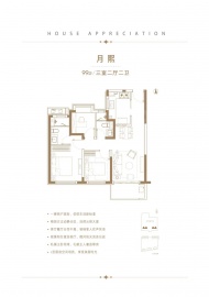 临港天宸3室2厅2卫