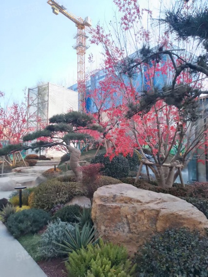 津铁绿城·体北潮鸣实景图