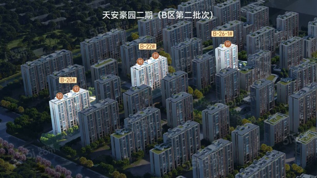 楼栋