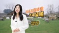 大华望樾视频相册大图