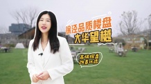 大华望樾沙盘图相册