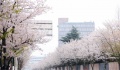 明园叠翠苑实景图相册大图
