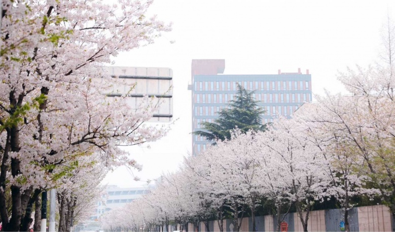 明园叠翠苑实景图