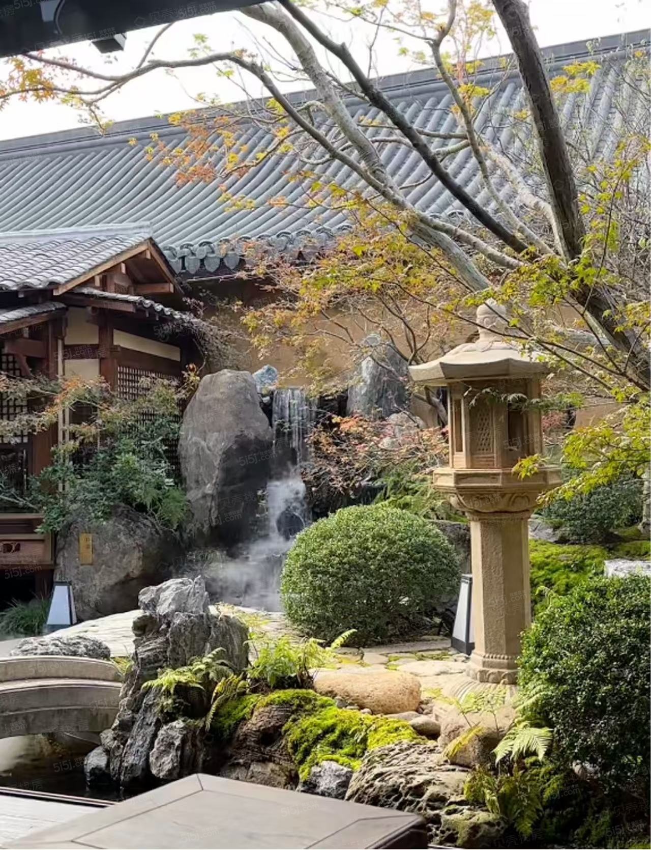 格调蒲庭实景图